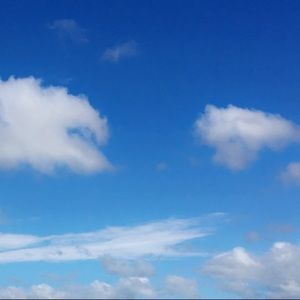 Meet your Posher, Antonio